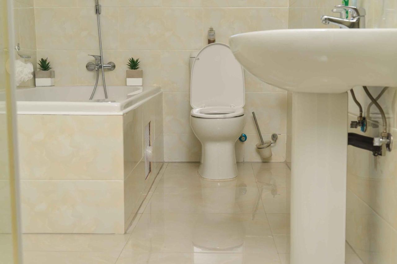 גאבורון Immaculate Villa מראה חיצוני תמונה